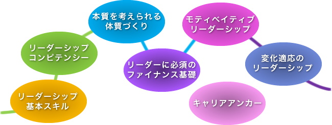 リーダーシップ基本スキル リーダーシップコンピテンシー 本質を考えられる体質づくり 未来を読むイノベイティブリーダーの役割 モティベイティブリーダーシップ 変化適応のリーダーシップ キャリアアンカー